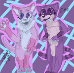 + Furry meets +