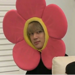 ARMY 아미 주접방