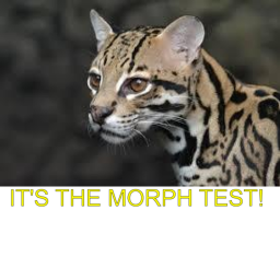 (RUNNING!) Ocelot0108's Morph Test
