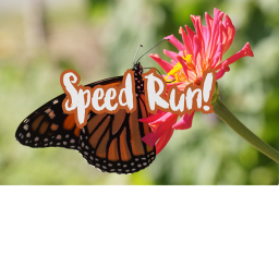 Speed Run!