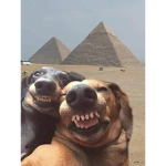 Owtwnsfajcsmatsisgs