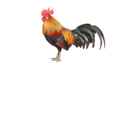 yeah everybody want a piece of my chicken