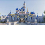 The Disney park group