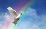 Doves for life y’all!!!!!!!!!