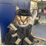 Bright's Tactical & Casual