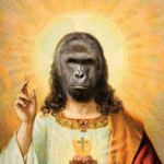 gorilla grup