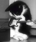 ’ guitarwisp