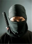 Agents Ninjas Assassins Knight A.N.A.K