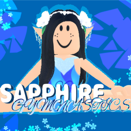 Sapphire Gymnastics Main Gym