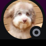 Save damien from area 51 