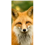 Fox pops =D