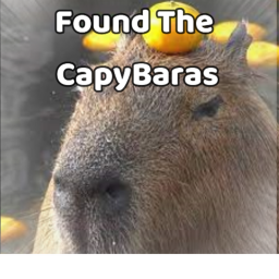 FInd the capybaras