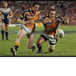 westtigers