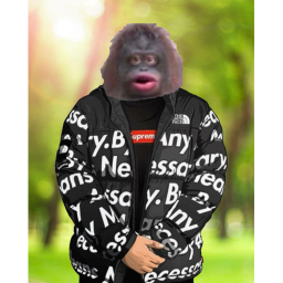 Monkey Madness