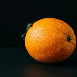 Escape the Oranges! icon