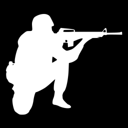 gun arena