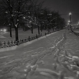 ☃꙳·❅°*˖
