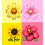 The Flower Fans