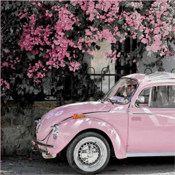 Aesthetic Dreams Racing