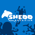 Shedd Aquarium