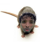 The ButterflyMonique