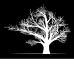 The White Tree