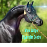 Show Jumper Equestrian Centre