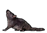 Rats Domain (right hand man)