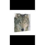 Bloody Wolfz