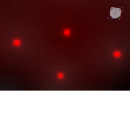 BLOODY