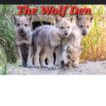 Wolf Den2