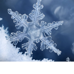 | SNOW |