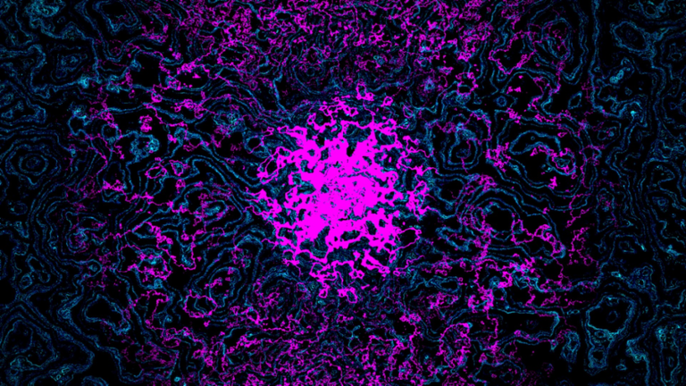 Grace: Modded Legacy [encore qol update] screenshot 1