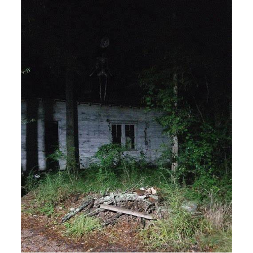 a most likey trevor game cc mad uppdate