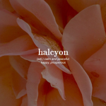 haIcyon.