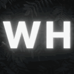 [ WHITE // OUT ]