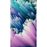 A. C