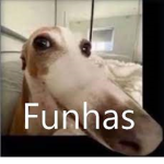 FunhasX