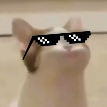 pop cat with deal with it glasses Roblox decal