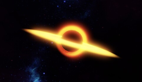 Survive the Black Hole!