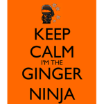 Gingerninja group