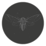 The Cicada Dynasty