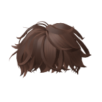 Boy's Brown Hair