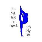 Harmony Gymnastics and cheer