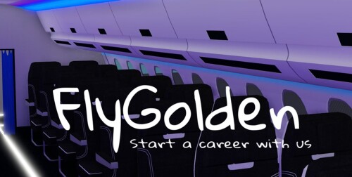FlyGolden Interview Center 