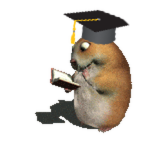 Graduation Chomik