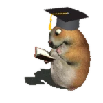 Graduation Chomik