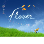 Little Flower's Fashion