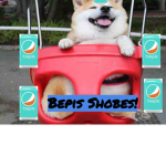 Bepis Shobes
