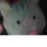 God kitty